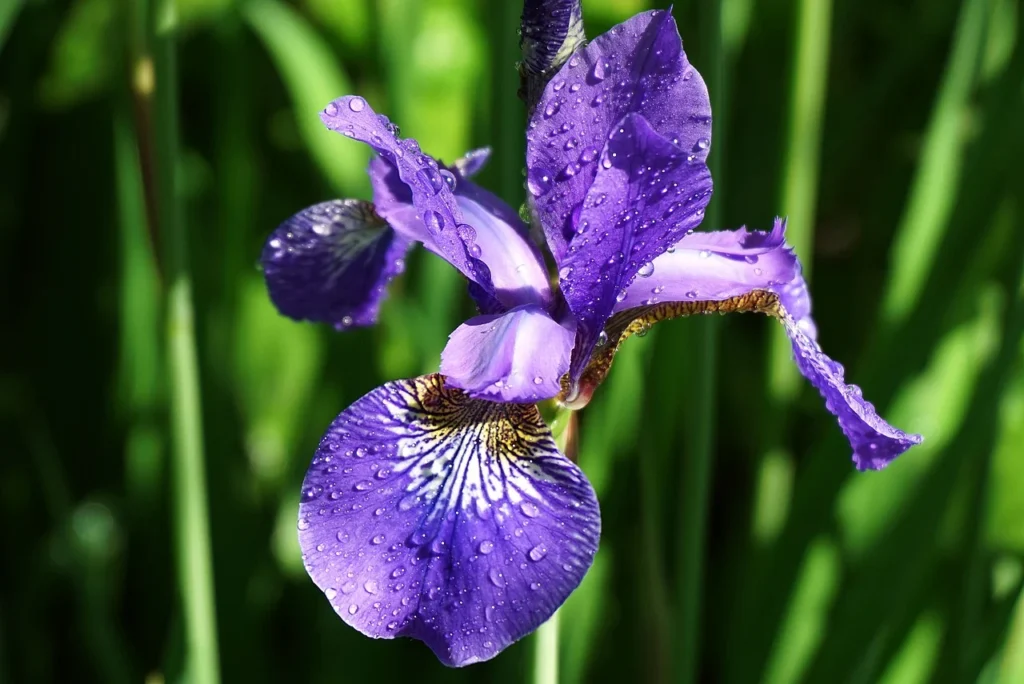 Travel Journal Ideas