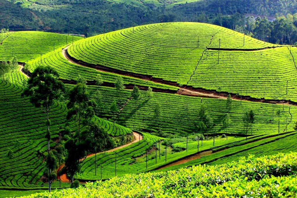 cheapest kerala tour package